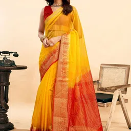 SANISA Woven Design Organza Handloom Saree-picture-40