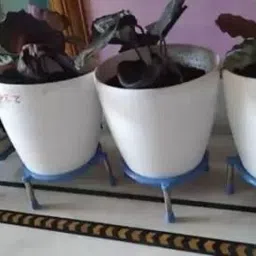 aric Pot Stand Plant container Stand Matka Kitchen Rack (Plastic, Steel) GLOSSY Trivet image 3