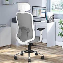 astride Erizo Ergonomic Office Chair|Multilock|4D Arm|Adjustable Head &Lumbar|Metal Base Mesh Office Executive Chair-picture-12