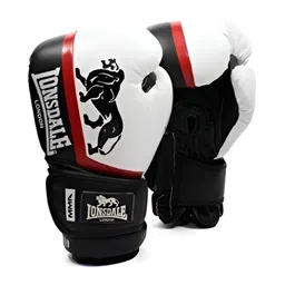 FIREFLY Pro Training Competition Boxing Gloves image 4