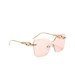 ZAADRAN Unisex Oversized Sunglasses with Polarised and UV Protected Lens-image-7