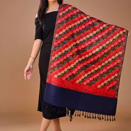 SWI Stylish Women Ethnic Motifs Embroidered Shawl-picture-23