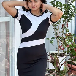 BAESD Women Colourblocked Round Neck Sheath Dress-picture-39