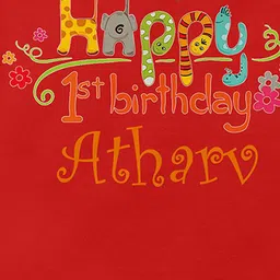 THE PRINT PLATTER Infants 1st Birthday Printed Ultra Bio Wash Bodysuit With Envelope Neck image 2