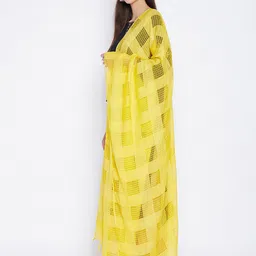 Clora Creation Women Yellow Checked Pure Cotton Dupatta image 4