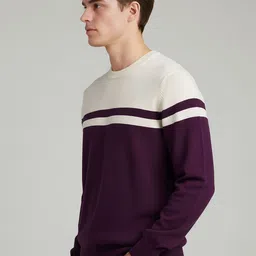 Celio Men Colourblocked Pullover image 3