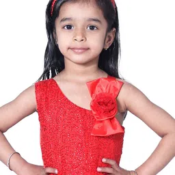 Wish little Girls Red Net A-Line Dress image 2