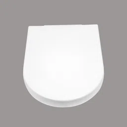 r. n. Plastic Toilet Seat Cover-picture-28