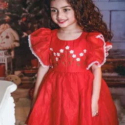 DISHA CREATIONZ Ruffled Empire Dress-picture-22