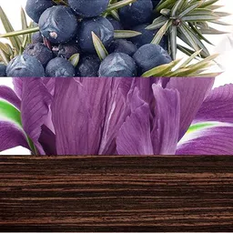 DAVIDOFF Men The Game Perfume 100ml image 5