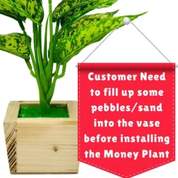 Dekorly Green Plastic Money Plant Artificial Flowers & Plants With Pot image 2