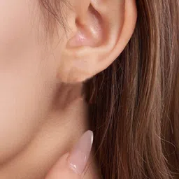 Goldnera Brass-Plated Cubic Zirconia Studded Floral Shaped Korean Stud image 4