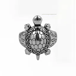 Vaiseema Stainless Steel Silver-Plated Finger Ring-picture-30