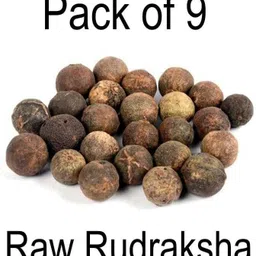 rudraksham Rudraksha Sacred Fruit-Tear (Set of 9) With Brand Certification Wood Pendant-picture-20