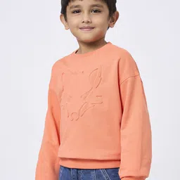Ed-a-Mamma Boys Printed Cotton Sweatshirt-picture-53