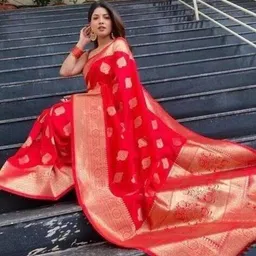 revangi Women Woven Saree with Contrast Border image 3