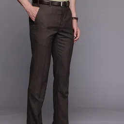 Raymond Men Textured Slim Fit Formal Trousers image 3