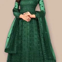 beautypie Net Stitched Anarkali Gown image 1