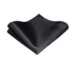 VOICI Men Solid Pocket Square Coat Hanky-picture-27