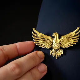 Mahi Men Gold-Toned Plated Alloy Brooch image 2