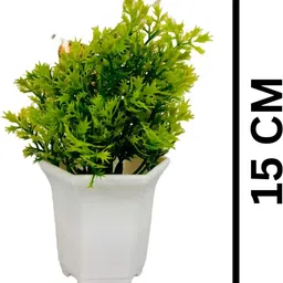 Dekorly Green Plastic Fern Artificial Flowers & Plants With Pot image 2