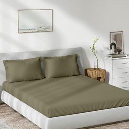 Trance Home Linen Brown Bamboo Cotton 300 TC Fitted Double Queen Bedsheet Set-1.91mx1.52m-picture-38