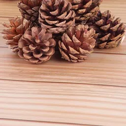 Ascension 12-Pcs Brown Christmas Snow Pine Festive Decor-picture-15