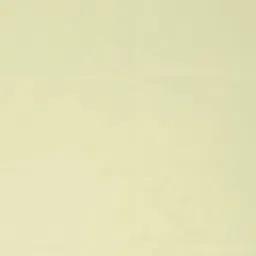 Parda Online Beige Set of 2 Black Out Long Door Curtain image 2