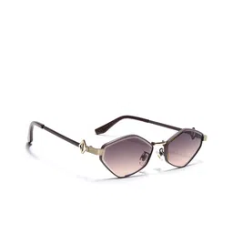 Voyage Unisex Brown & Clear Lens Hexagonal Sunglasses With Golden Frame 2697MG7523-picture-37