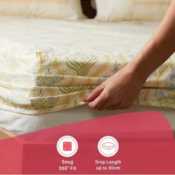 LIVSPACE Mustard & White Ethnic 144 TC Cotton Double King Bedsheet Set 1.98 m x 1.82 m image 3