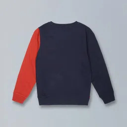 PLUM TREE Boys Colourblocked Sweatshirt image 2