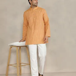 Fabindia Men Striped Band Collar Kurta image 5