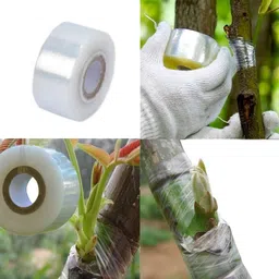 mplus Tape 1 inch X 400M PACK OF 2 ManuaL Grafting tape (Manual)-picture-12