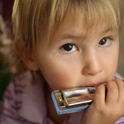 planetoid Tremolo Harmonica Performance Harmonica Mouth Organ 24 Holes 48 Tones C Key With Blue Case image 5