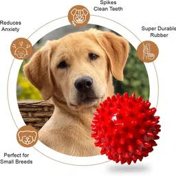 wagtalez Multicolour Spike ball Rubber Ball For Dog image 5
