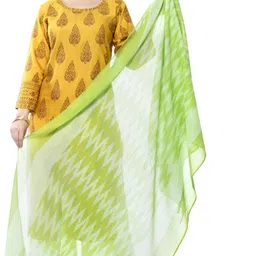 moeza Cotton Blend Woven Light Green Women Dupatta image 1