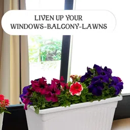 Kuber Industries White & Blue 6 Pieces Textured Lightweight Planters image 5