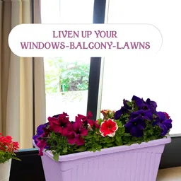 Kuber Industries Purple 6 Pieces Textured Lightweight Planters image 4