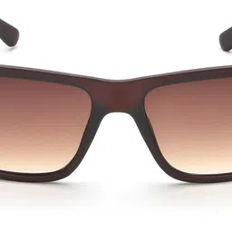irus Gradient Retro Square Sunglasses (53)-picture-26