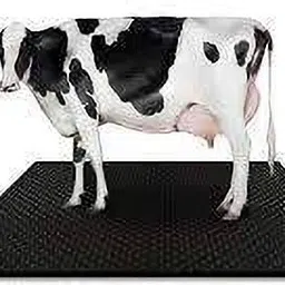 COW MAT ONE PCS 4XL Pet Bed (BLACK) Cow, Dog, Hamster, Guinea Pig, Miniature Pig Pet Mat-image-22