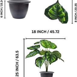 go hooked Artificial Philodendron Plant With Nursery Pot | 12 Green Patterned Leaves Artificial Plant with Pot image 3