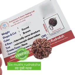 6 mukhi NEPALI Certified rudraksha Pendant Beads Wood Locket-image-24