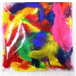 airtick (Pack of 80pcs) Natural Dyed Craft Feathers for Diy Hobby Kids Art & Craftworks image 4