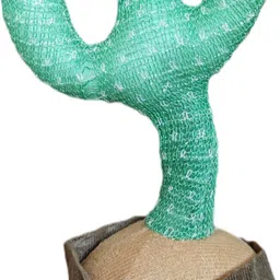 aaryacreations Dancing Cactus Talking Toy with Singing & Recording Function Repeat What You Say-picture-44