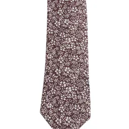 Alvaro Castagnino Men White & Brown Printed Skinny Tie image 3
