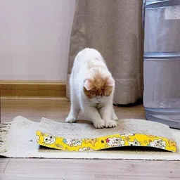 petjoy Cat Scratching Pad image 2