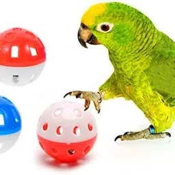 Pet Toy for Lovebird Dog Puppy Cat- 3 Pcs Pack Plastic Chew Toy For Bird-image-48