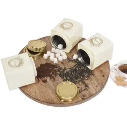 Living With Elan Dreamer Tea, Sugar and Coffee Stsinless steel 500 ml Set of 3 Canister-Ivory image 3