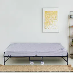 springtek Roll-Away Metal Folding Bed in Black Colour with Mattress-picture-34
