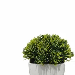 maarkee Artificial plastic plant Bonsai Artificial Plant with Pot image 4